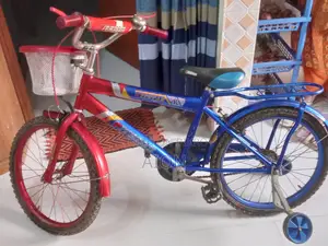 ফিটস্টার বাইসাইকেল