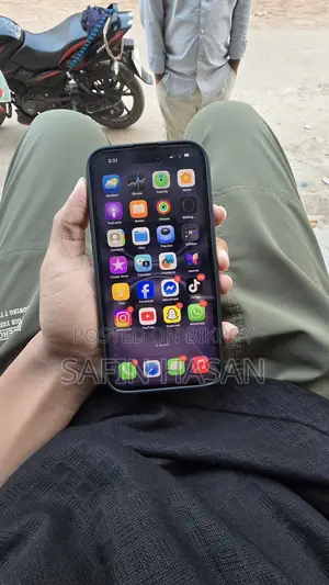 Apple iPhone 16 Plus (Used)