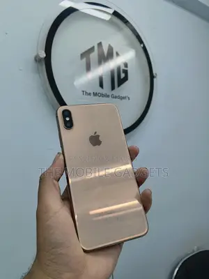 Apple iPhone XS Max 64GB (Used)