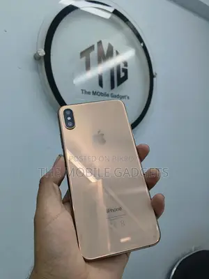 Apple iPhone XS Max 64GB (Used)