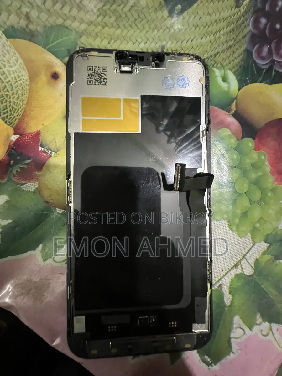 Apple iPhone 13 Pro Max display