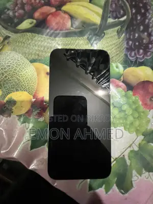 Apple iPhone 13 Pro Max display