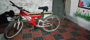 Selling my bicycle