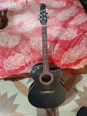 সিগনেচার গিটার বিক্রয় হবে
