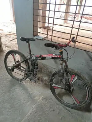 Bicycle (Used)