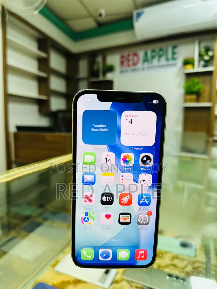 Apple iPhone 12 Pro 256 Gb Japan (Used)