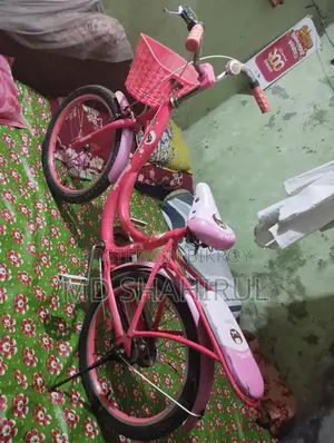 Pink Bicycle