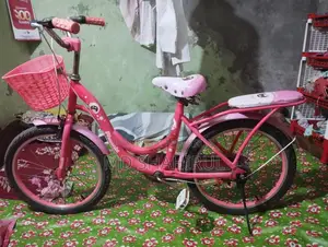 Pink Bicycle