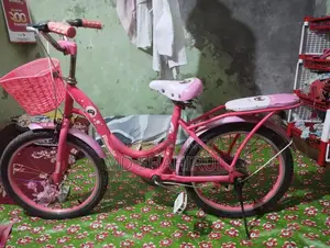 Pink Bicycle