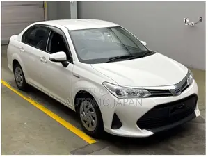 Toyota Axio EX 2020