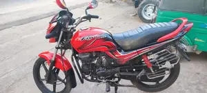 Hero Passion Pro . 2013