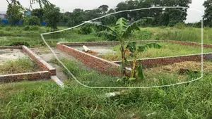 জমি কিনুন, বাড়ি করুন।