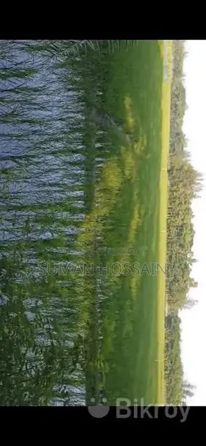 Agricultural and Residential Land for Sale