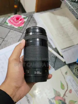 ৭৫-৩০০মিমি জুম লেন্স