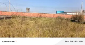 5 katha plot for sale in Block P, Bashundhara Residential Area.