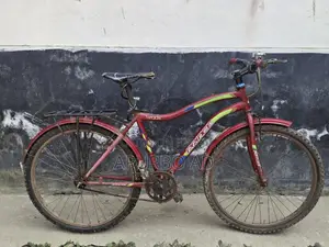 Prince Vegas Bicycle for Sale – In Good Condition