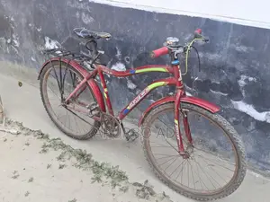 Prince Vegas Bicycle for Sale – In Good Condition