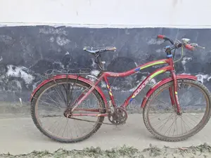 Prince Vegas Bicycle for Sale – In Good Condition
