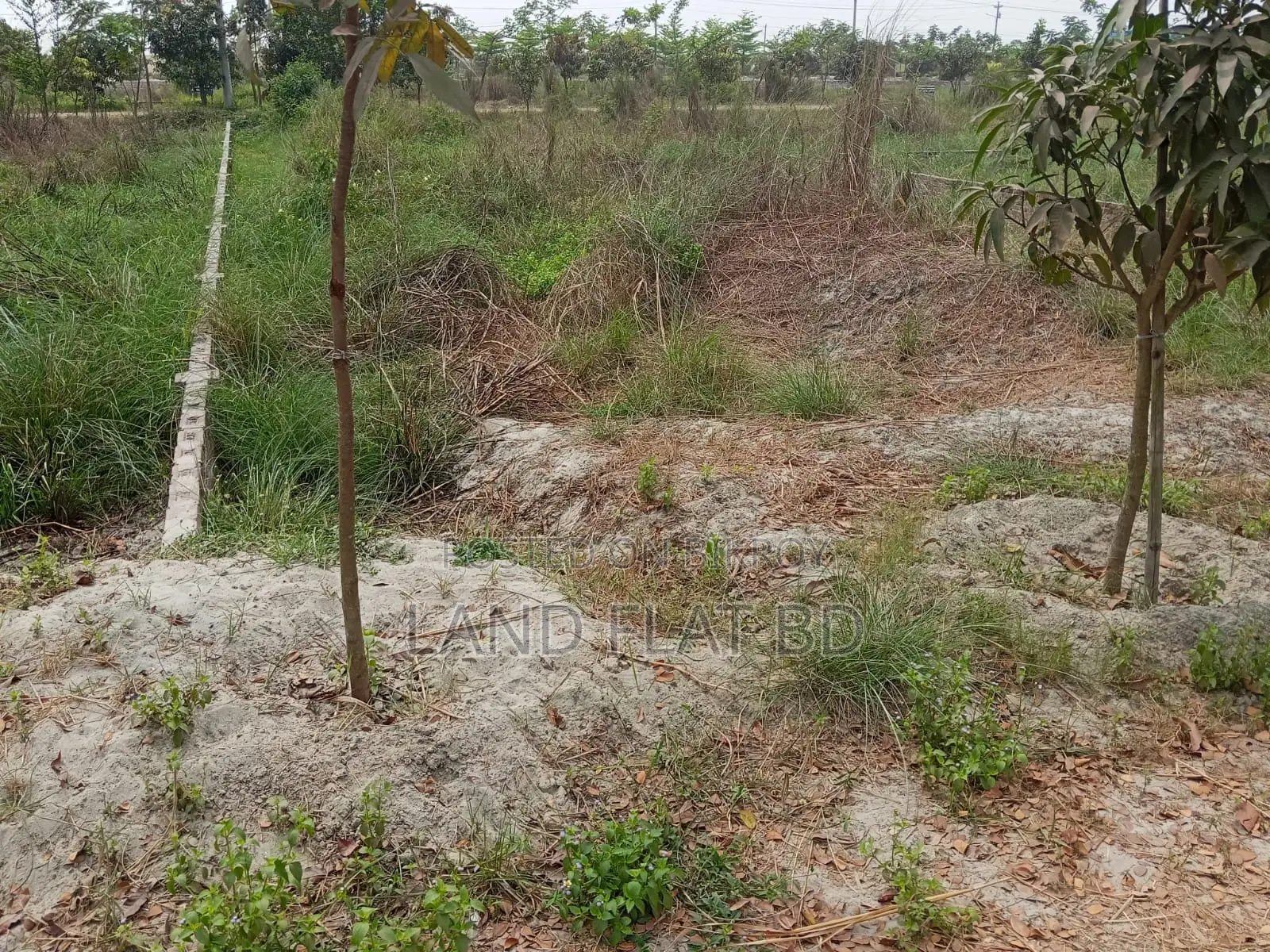 Ati Model Society @ Ready-to-Build 3.30 Katha Plot for Sale