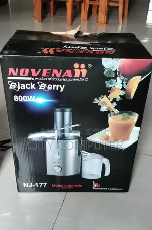 Electric Juicer