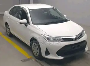 Toyota Axio EX 2020