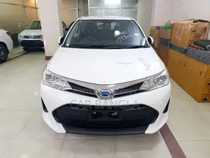 টয়োটা অ্যাক্সিও ইএক্স পিকেজি ২০২০
