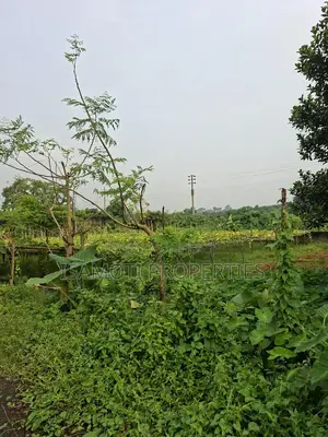 লেক ভিউ ৭.৫ কাঠা প্লট বিক্রয় সেক্টর ২৬
