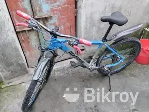Bicycle For Sale