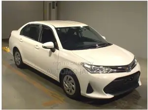 Toyota Axio EX 2020