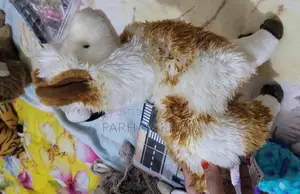 Baby Toys