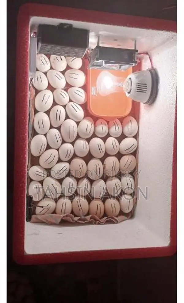 New Incubator