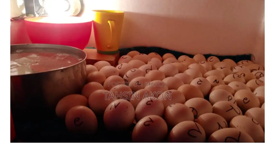 New Incubator