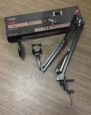 Microphone And Mobile Recording Stand