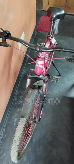 Falcon Bicycle for Sale