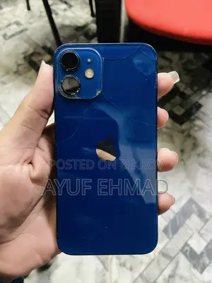 Apple iPhone 12 Mini (Used)
