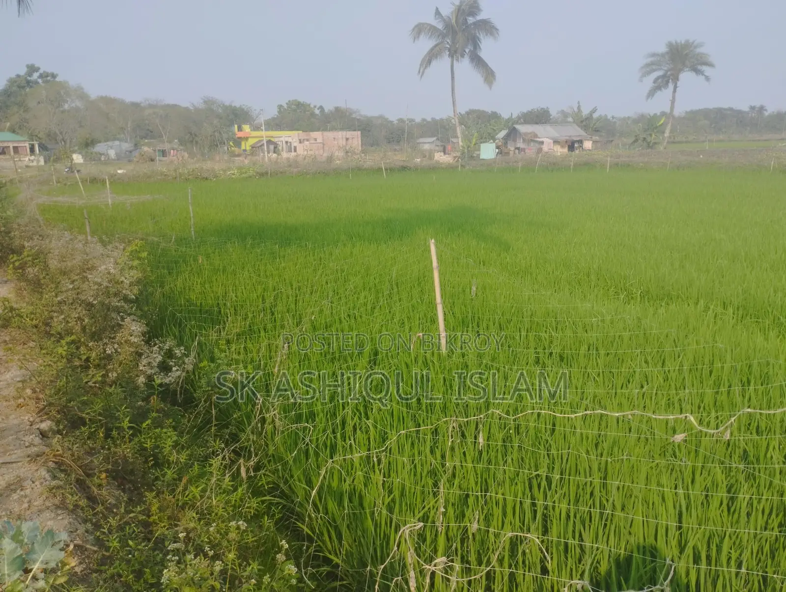 Dispute-free land for sale. Location: Khulna Rajbandh