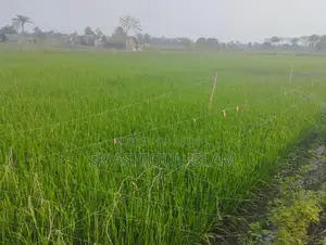 Dispute-free land for sale. Location: Khulna Rajbandh