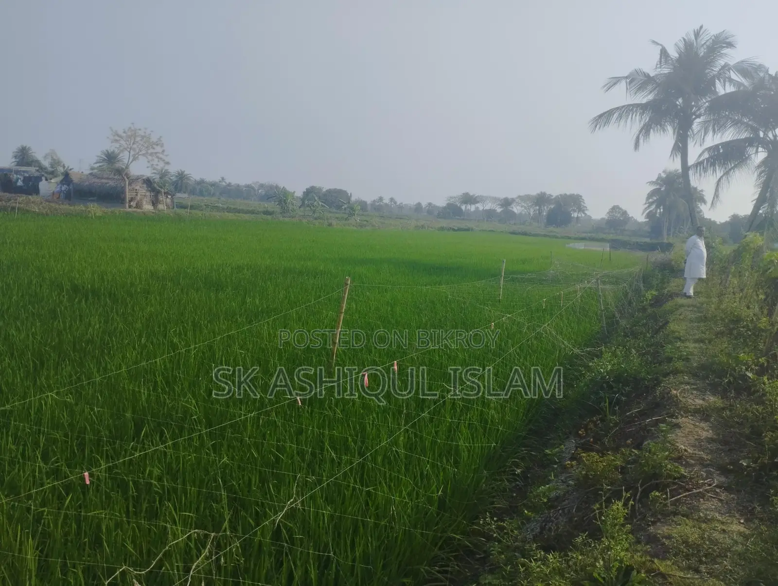 Dispute-free land for sale. Location: Khulna Rajbandh