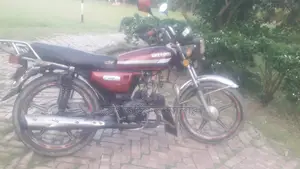 Freedom LML 110 ` 2015