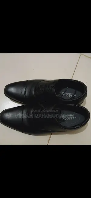 Oxford Shoe