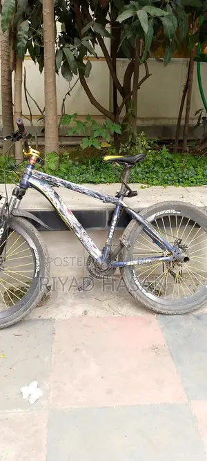 Selling My Bicycle