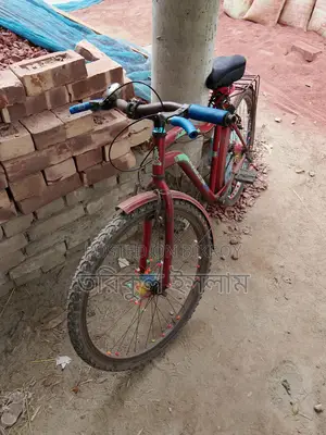 Running Bicycle
