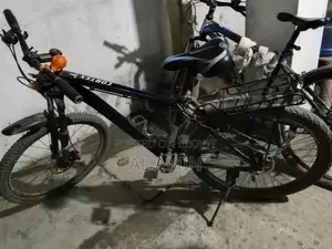Phoenix Bicycle for Sale