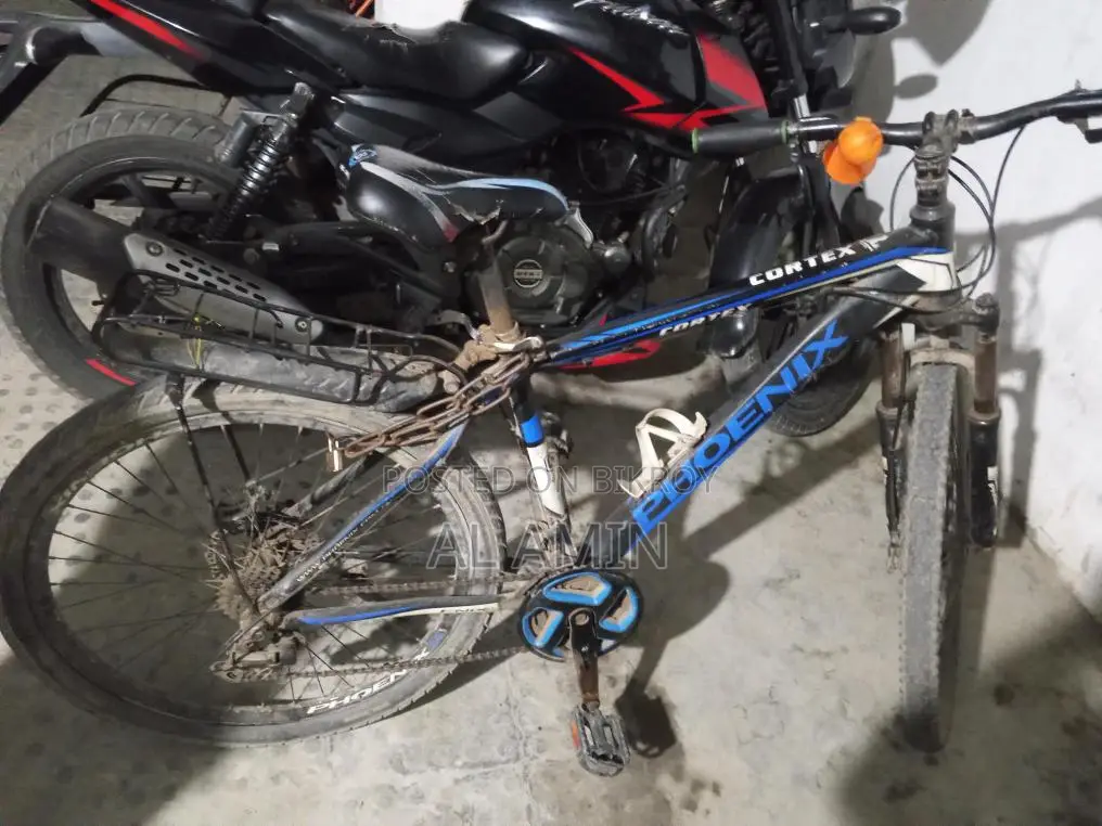Phoenix Bicycle for Sale
