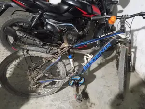 Phoenix Bicycle for Sale