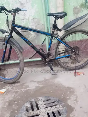 Duranta Bicycle for Sale