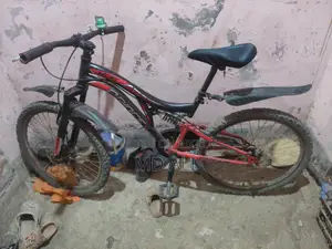 Prince Bicycle for Sale