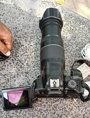 Canon 700d 75/300 lens