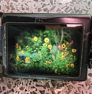Canon 700d 75/300 lens