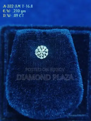 ডায়মন্ড নোজপিন